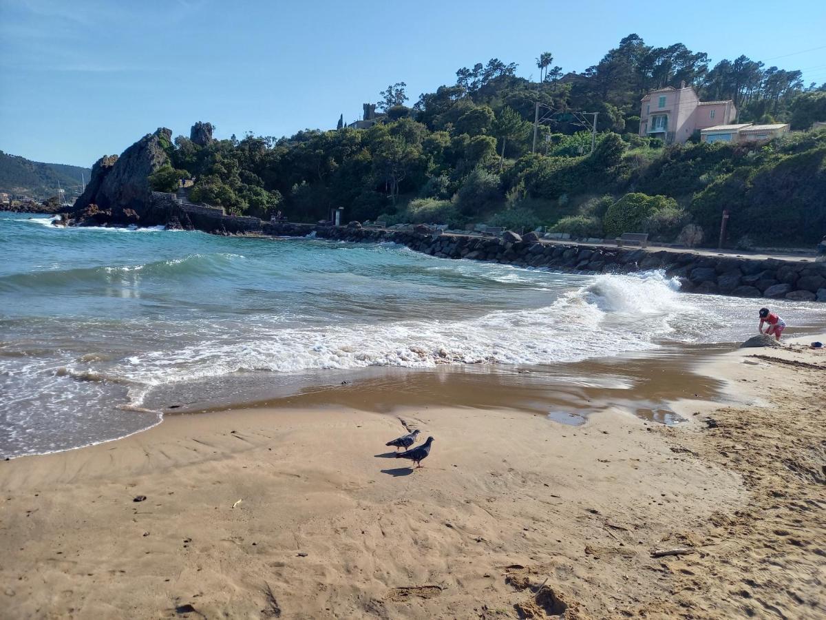 Villa Malibu Mandelieu 外观 照片